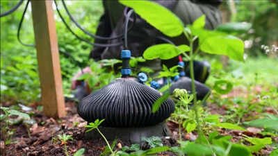 Your garden could become a power station: How a UK startup is generating electricity from soil bacteria