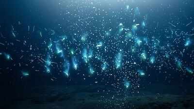 Scientists say crushing deep-ocean pressure squeezes hidden nutrients out of sinking marine snow, feeding microbes and changing what we know about Earth’s carbon cycle