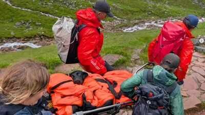 A Labrador began swaying and could no longer walk on Britain’s highest mountain; rescuers later discovered what she had eaten