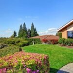 8 Smart landscaping ideas to keep your yard looking beautiful all year round