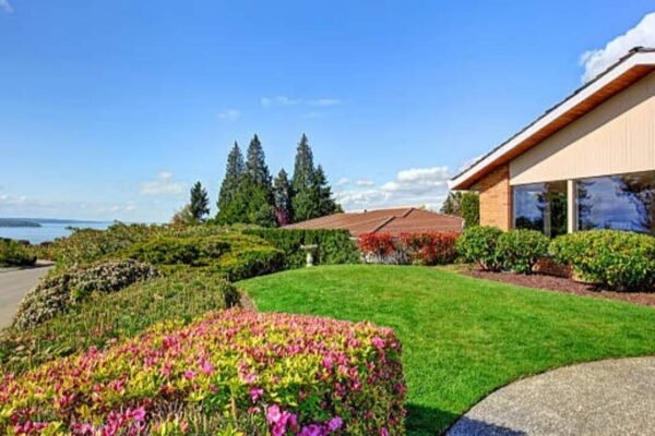 8 Smart landscaping ideas to keep your yard looking beautiful all year round