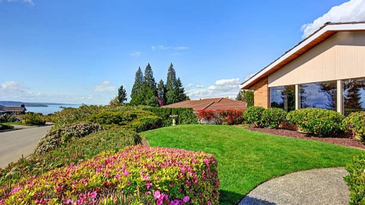 8 Smart landscaping ideas to keep your yard looking beautiful all year round