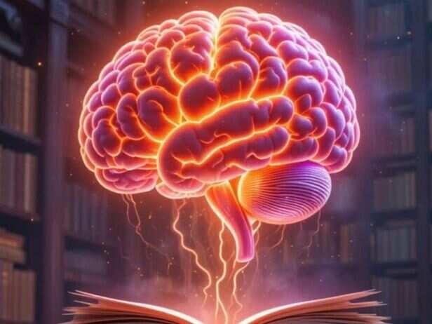What happens to the brain during social rejection? The Science behind heartbreak, exclusion and hurt feelings