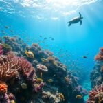 How an underwater drone found a coral reef written off in the 1960s still alive after more than 60 years |