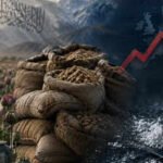 Afghanistan: The Taliban's Trojan horse: What really happened after Afghanistan's opium ban