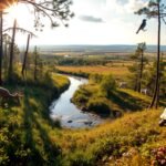 An American gambler spent $90 million buying 54,000 acres of logged Florida land. Eight million longleaf pines later, a lost forest is returning