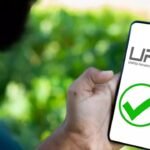 UPI volumes up 1.2%, rise to 76 crore