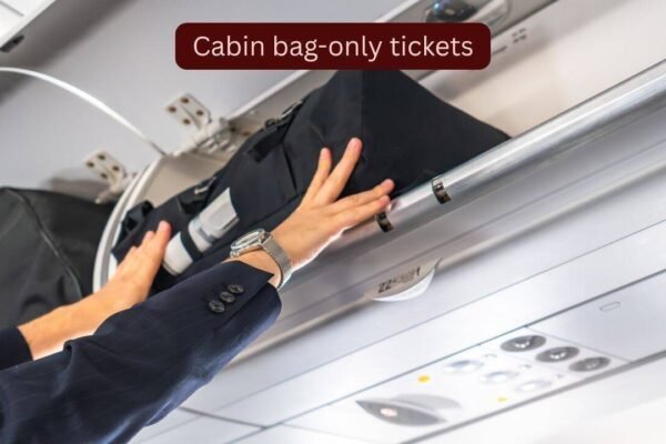 IndiGo's new 'Lite' fare makes flying cheaper: How cabin bag-only tickets will benefit millions of travellers |