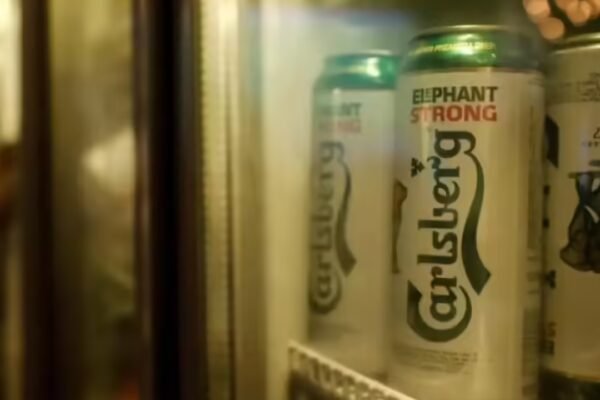 Carlsberg files IPO papers confidentially