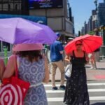 'France, Belgium & The Netherlands saw 3,700 excess deaths in heatwave'