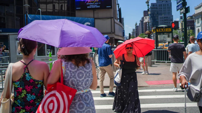 'France, Belgium & The Netherlands saw 3,700 excess deaths in heatwave'