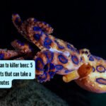 5 small-sized beasts that can take a human life in minutes