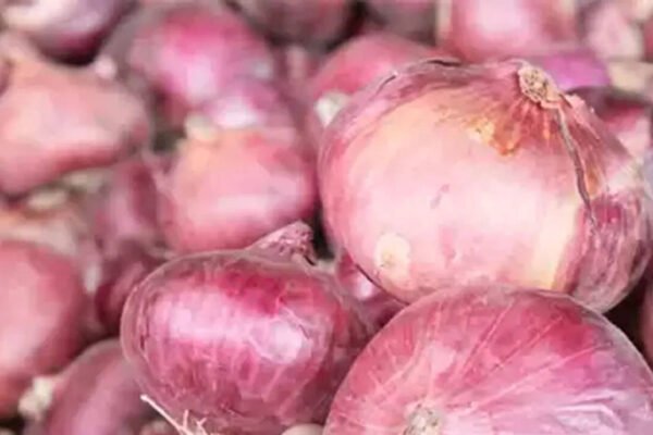 Centre raises onion procurement price by 13% — here's why