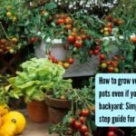 Growing Vegetables In Pots: How to grow vegetables in pots even if you do not have a backyard: Simple step-by-step guide for beginners