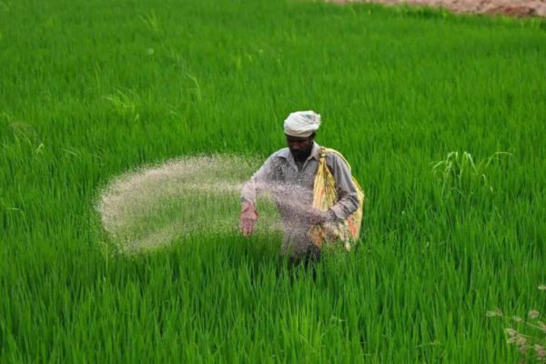 15 India-bound ships carrying urea, DAP and sulphur cross Hormuz: Govt