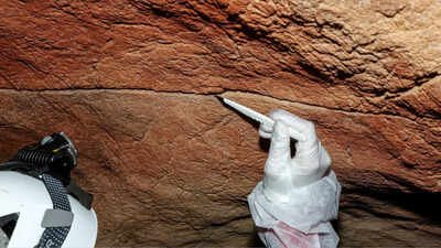 For the first time, scientists have recovered ancient DNA left behind on cave walls and rock art, opening a new way to study the people who made prehistoric art thousands of years ago