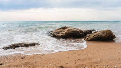 Best proverb of the day: 'The ocean keeps every secret, but charges salt for storage', and every hidden truth returns altered by time and chemistry