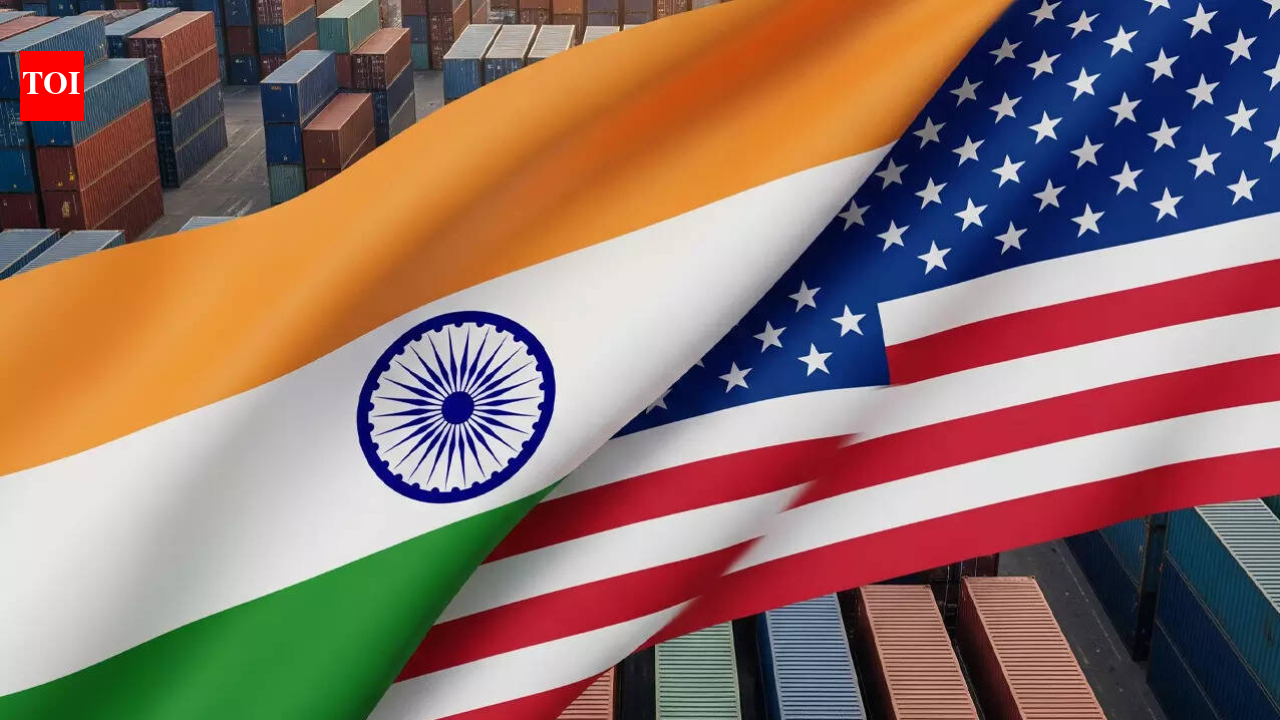India urges US to reconsider proposed 12.5% tariff over 'forced labour' probe under USTR's Sec 301