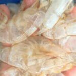 Scientists in Singapore have found a way to transform shrimp shell waste into 'carbon-negative' hydrogen fuel, turning biomass waste into valuable climate solutions