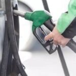 E20 costlier to produce than pure petrol: Government