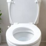 Want a fresh and odour-free toilet: These 6 ingredients can help |