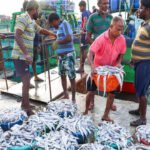 $1bn SEZs in the works to boost seafood exports
