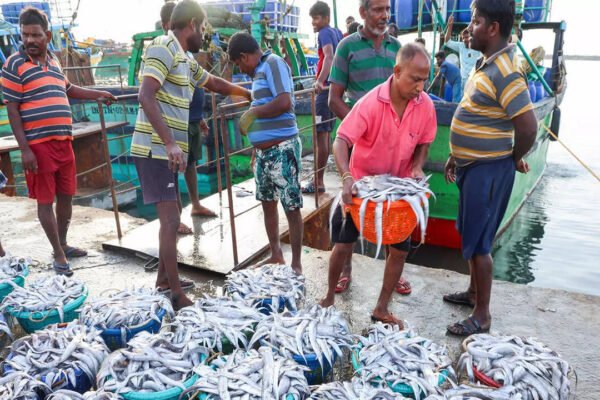 $1bn SEZs in the works to boost seafood exports