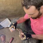 Alaska: Scientists find that humans and dogs have such a friendly relationship because early ancestors fed salmon to canines 12,000 years ago