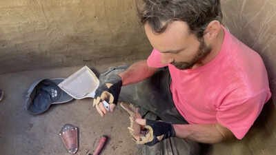 Alaska: Scientists find that humans and dogs have such a friendly relationship because early ancestors fed salmon to canines 12,000 years ago
