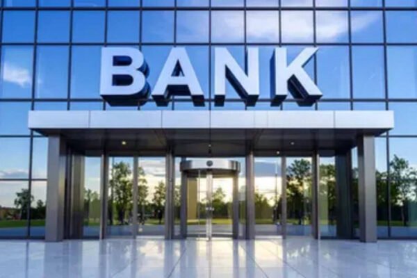 Rbi Amendments For Bank Shareholding: Raising bank stakes gets easier for DIIs