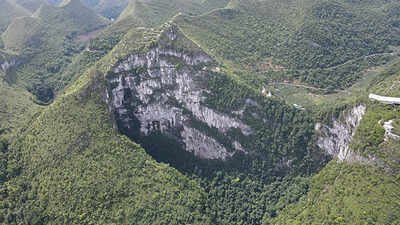China’s giant sinkholes are protecting an endangered magnolia tree, but they may also be trapping its future