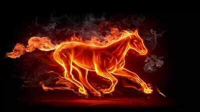 Year of the Fire Horse 2026: The One Red Flag You Must Stop Ignoring