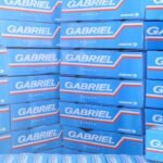 Gabriel acquires promoter stake in JV, family holding up at 68%