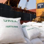 Stuck at ports: Why several fertiliser vessels are stranded at Indian ports during peak kharif sowing season