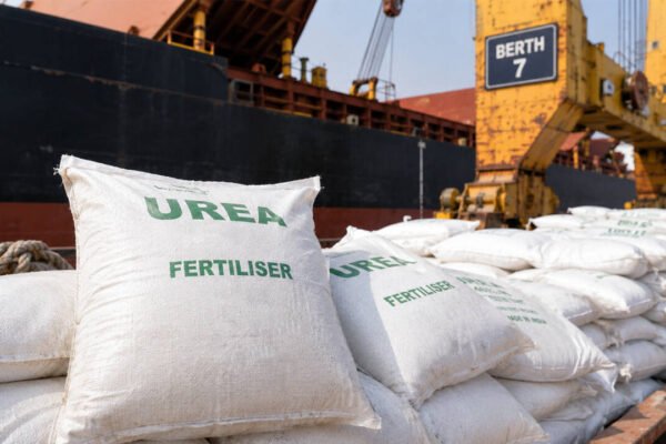 Stuck at ports: Why several fertiliser vessels are stranded at Indian ports during peak kharif sowing season
