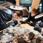 Scientists found a 2,865-pound predator from before dinosaurs ruled Earth; now 2,000 ordinary people are helping reveal its skeleton