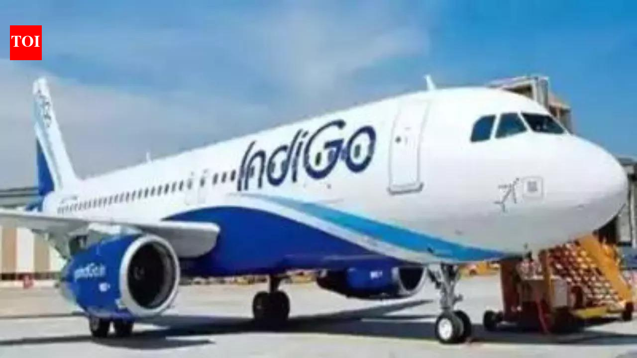 Indigo Airline Commitments: IndiGo offers crisis management plan to settle CCI probe into flight disruption case