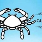 Daily Nadi Horoscope for Cancer (24th July 2026): Don’t Let Mood Control Your Choices
