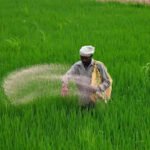 India's fertiliser game plan: Over 32 lakh tonnes imported in Q1; strengthened supply chain through overseas deals