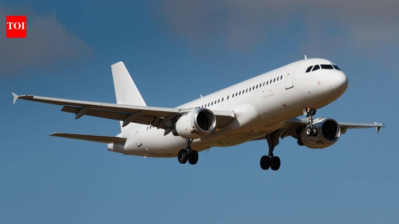 The hidden airplane space most passengers never see: Why flight attendants rely on the 'sin bin' during long journeys