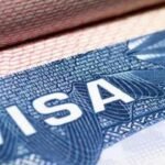Setback for Trump: US appeals court refuses to revive $100,000 H-1B visa fee