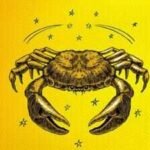 Daily Nadi Horoscope for Cancer (26th July, 2026): Don’t Let Small Pressures Affect Your Health