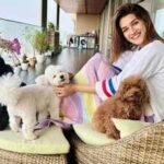 Inside Kriti Sanon's duplex sea-facing penthouse worth Rs 78 crore, which has a clubhouse, yoga desk, swimming pool and more | Hindi Movie News