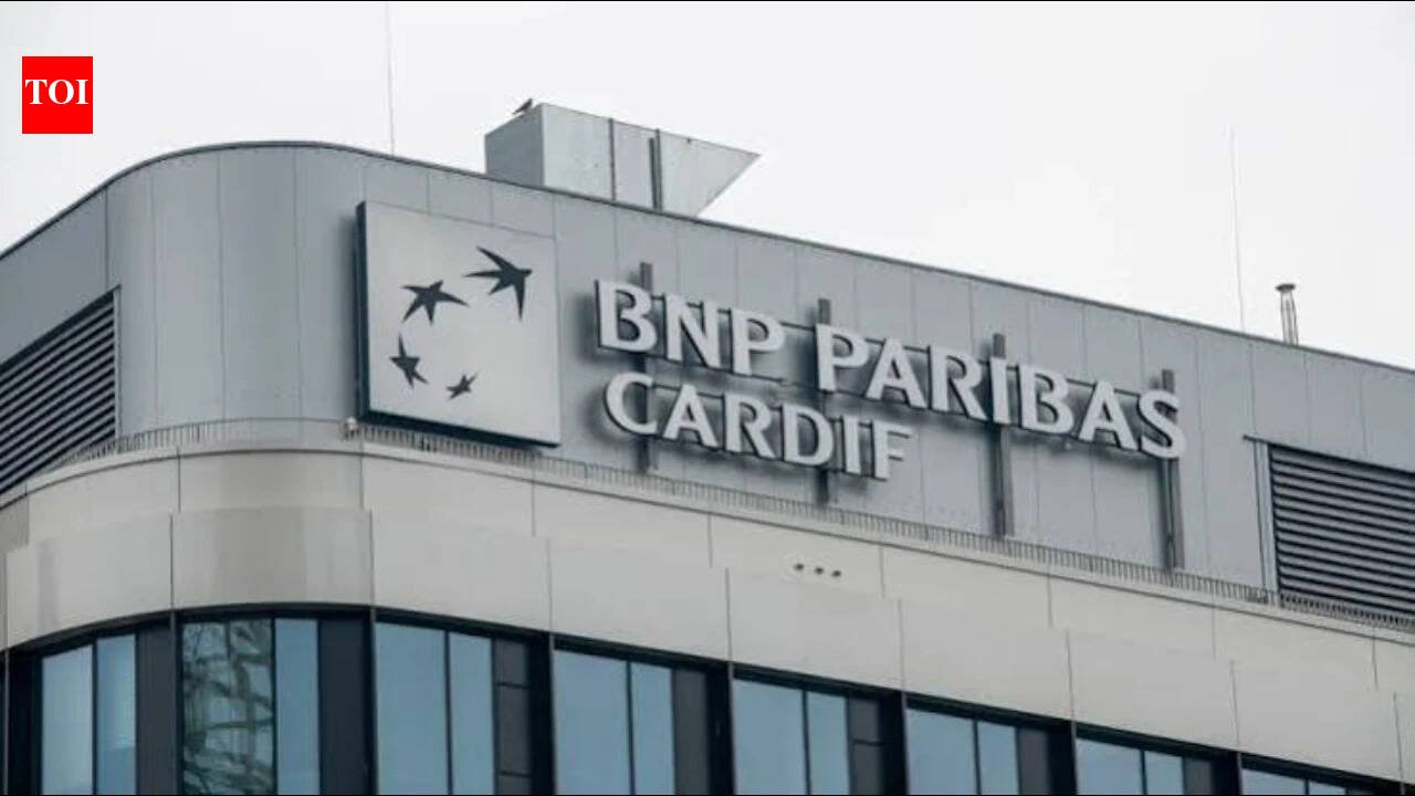 Bnp Paribas: BNP to take bancassurance route for insurance re-entry
