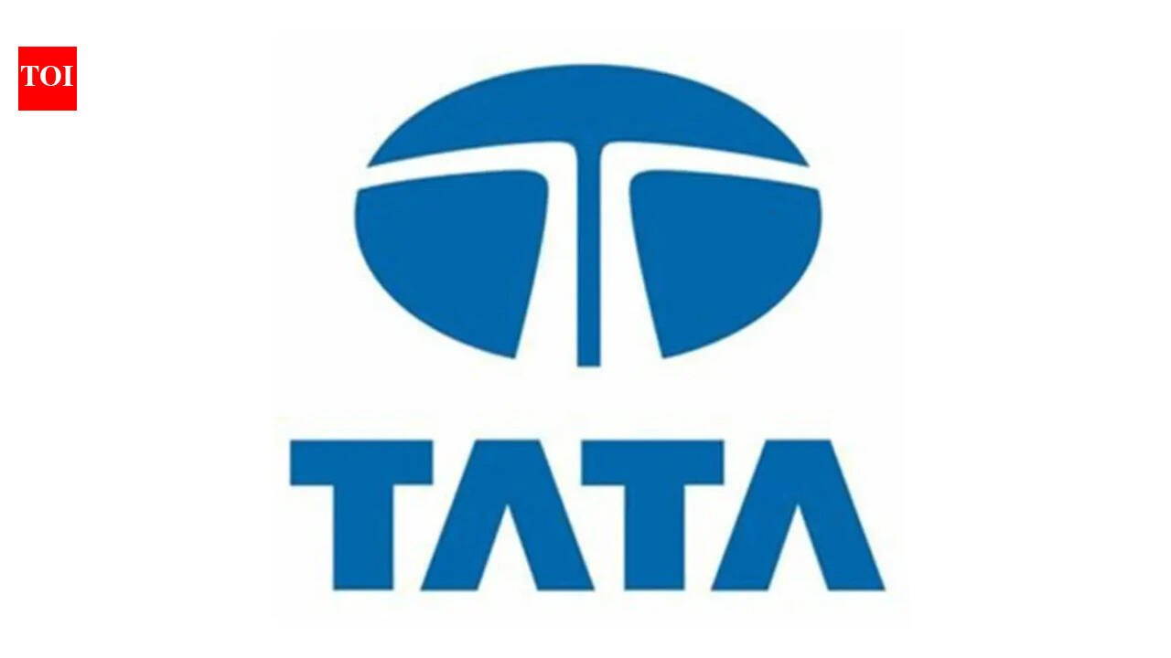 Tata Sons Agm: Tata Sons' AGM may face hurdle over quorum clause