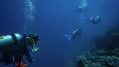 Most scuba divers believed they rarely touched reefs; underwater observers found more than 40% of contacts caused visible damage