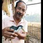 Bharat Borah: Meet Bharat Borah, from Assam's 'Hornbill Village' who has been saving injured birds and animals by building artificial legs for them for 30 years; his house is now an unofficial rescue centre