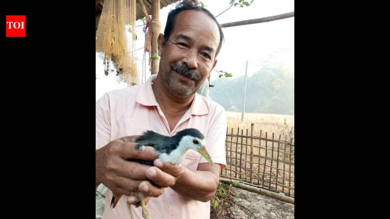 Bharat Borah: Meet Bharat Borah, from Assam's 'Hornbill Village' who has been saving injured birds and animals by building artificial legs for them for 30 years; his house is now an unofficial rescue centre