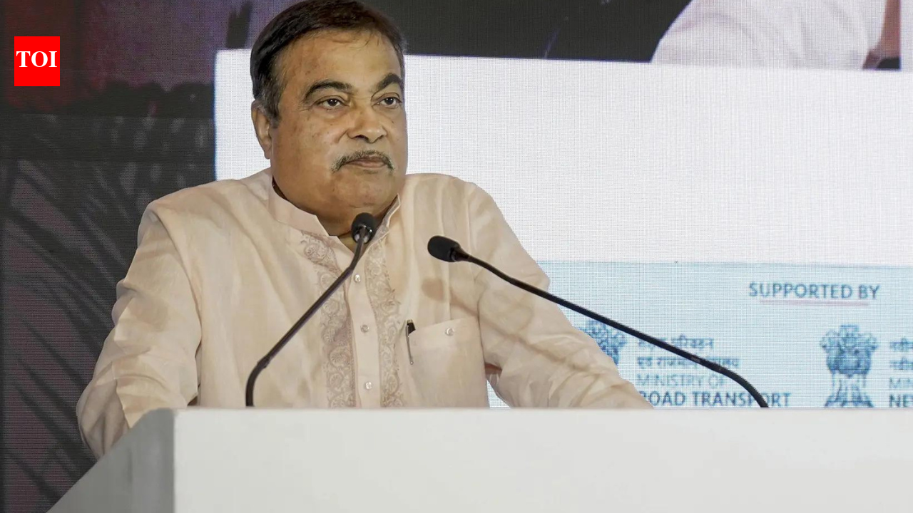 E20 Petrol Impact On Vehicles: E20 petrol may harm BS-III vehicle rubber parts, says Nitin Gadkari