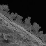Scientists drilled 1,640 feet beneath Michigan and found 689 kinds of fungi living in water that last touched the surface 11,000 years ago
